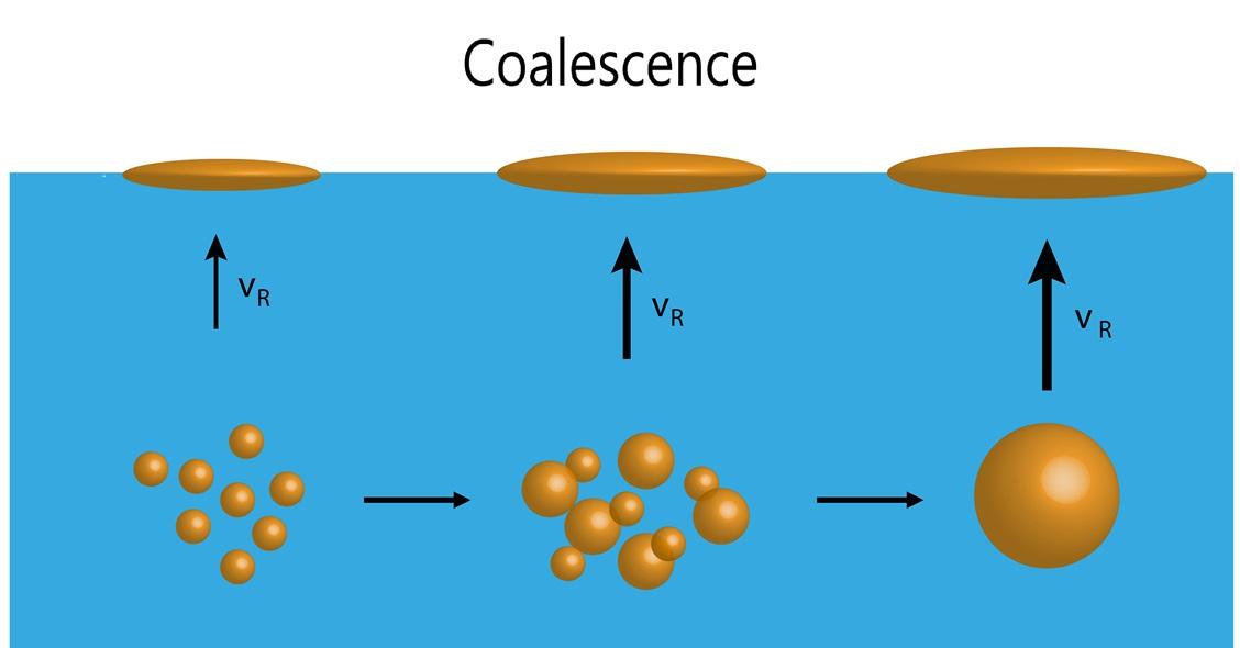 Coalescence of oil droplets