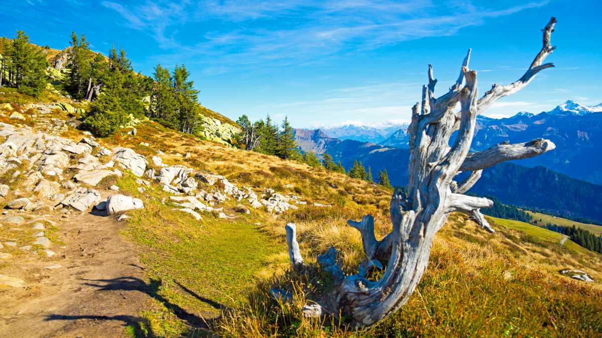 Intakte Umwelt für die Generationen nach uns Berghang mit Panorama zeigt eine intakte Umwelt