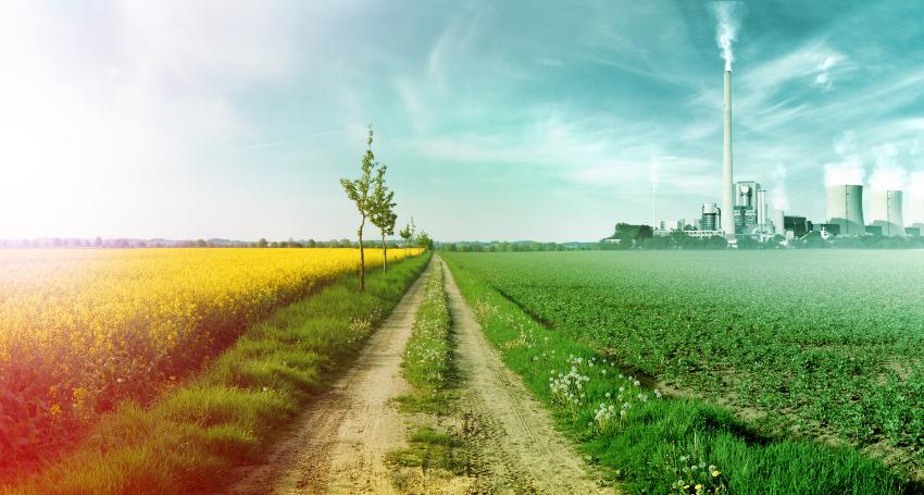 Links ein Blumenfeld, rechts eine Industrieanlage - umweltfreundliche Produktionsprozesse sind das Ziel