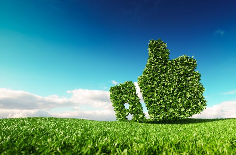 Was bedeutet klimapositiv?
