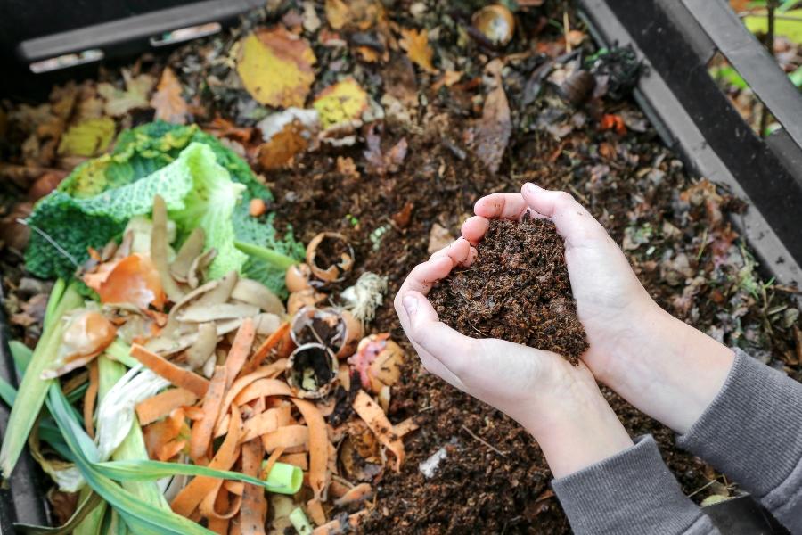 Organischer Abfall Kompost Biologisch abbaubare Produkte