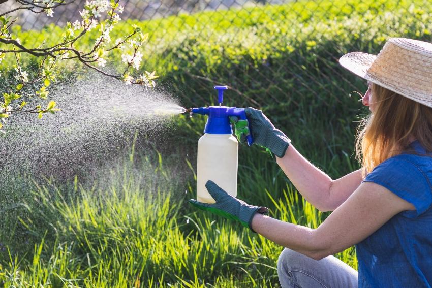 Frau sprüht Pflanzen mit Pflanzenschutzmittel ein - enthalten sind Biozide