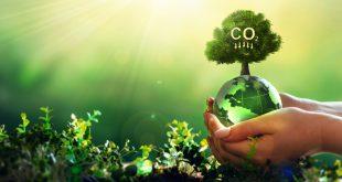 Möglichkeiten der CO2-Bindung