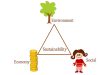 Sustainability Triangle