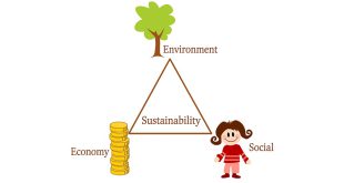 Sustainability Triangle