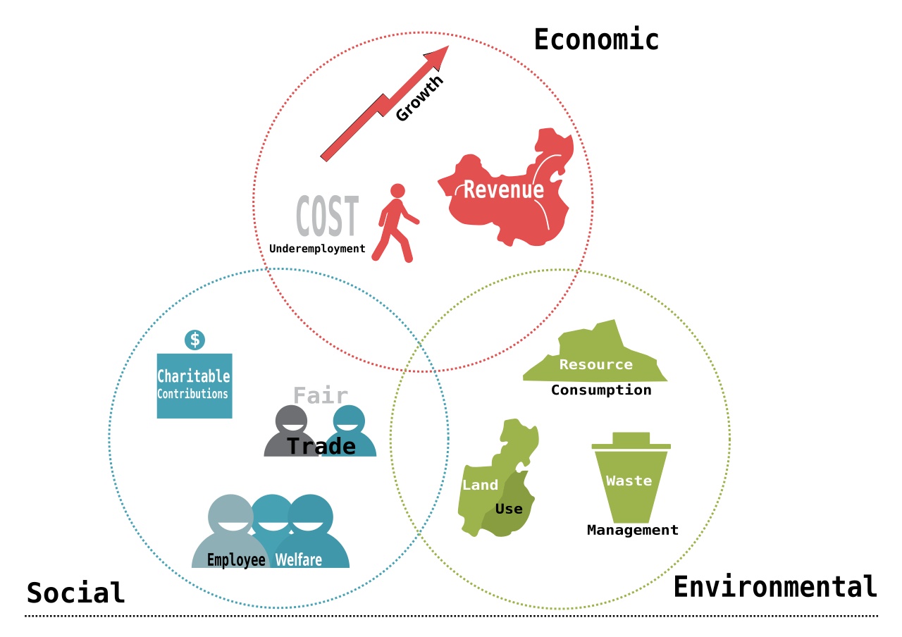 Graphic describing the three types of bottom lines Graphic describing the three types of bottom lines