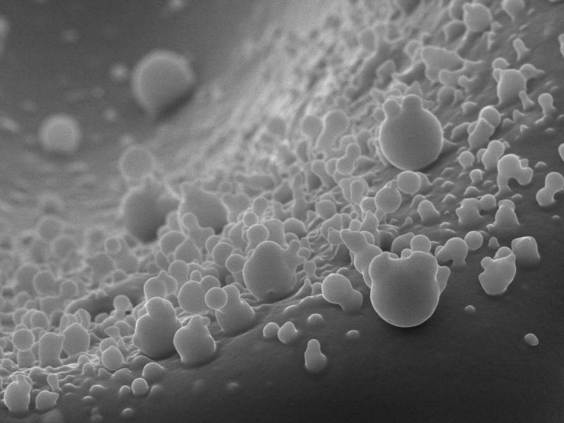 Nanopartikel des chemischen Elements Selen