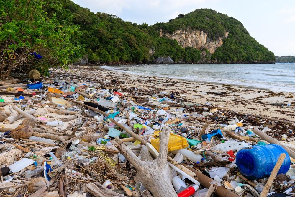 Zugemüllter Strand - Ressourcenschonung und Kreislaufwirtschaft zur Müllvermeidung