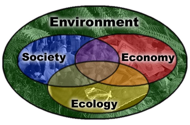 Diagram showing aspects of sustainable development as Ecology, Economy and Society bounded by Environment