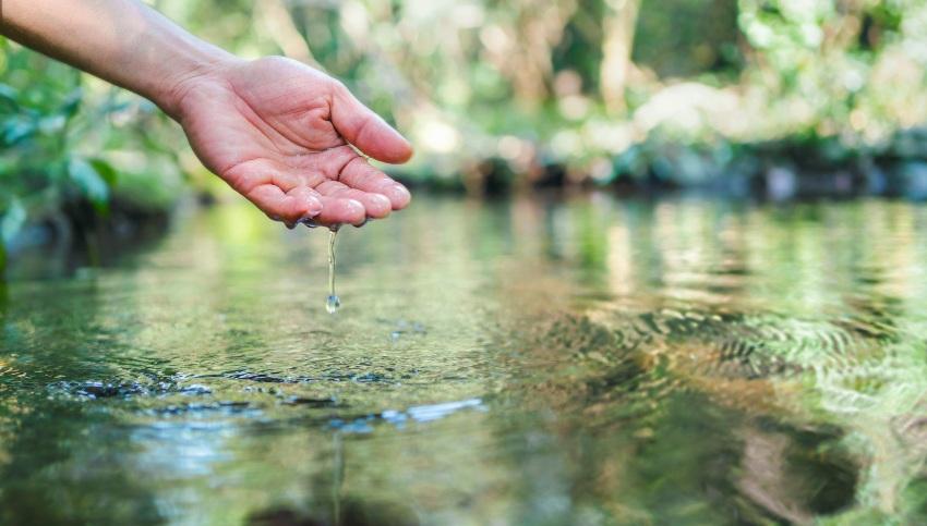 Biologisch abbaubare Schmierstoffe - Hand taucht in Wasser