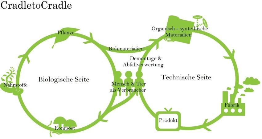 Cradle-to-Cradle Biologischer und Technischer Zyklus