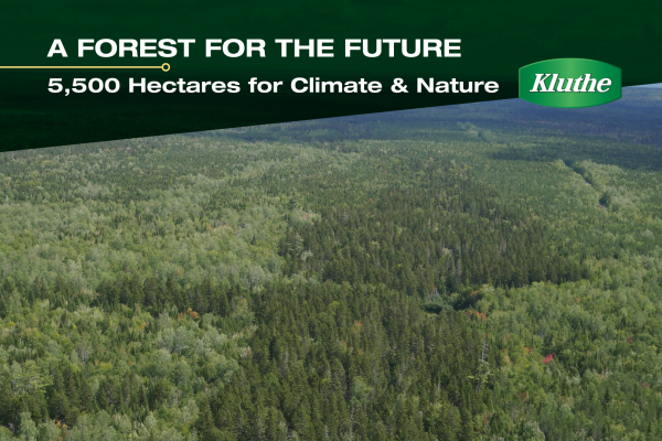 Forest-Kanada-6