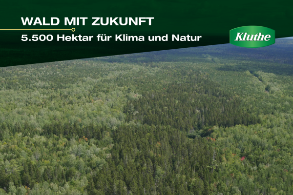 Forest-Kanada-5